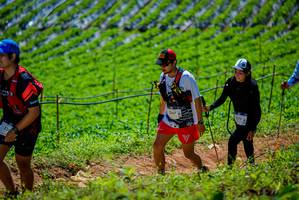 BIB: 236, 101, 2147
                            <button type="button" onclick="openModal(19164484)" class="btn btn-primary btn-sm float-right btn-popup" data-toggle="modal" data-target=".modal-high-quality">
                        <i class="fas fa-shopping-cart"></i> Add to Cart
                    </button>
                                            <button type="button" onclick="isThisMe(19164484, true)" class="btn btn-success btn-sm float-right btn-popup btn-isme hidden" data-toggle="tooltip" data-placement="bottom" title="นี่คือรูปของคุณใช่ไหม คลิกที่นี่เพื่อเอาเข้าอัลบั้ม">
                        <i class="fas fa-plus"></i> Add to album
                    </button>
                    <button type="button" onclick="isThisMe(19164484, false)" class="btn btn-warning btn-sm float-right btn-popup btn-isnotme hidden">
                        <i class="fas fa-ban"></i> Remove from album
                    </button>